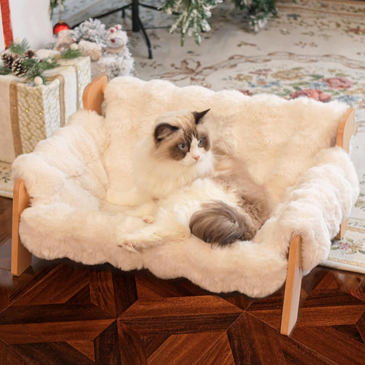 Elevated Cat Sofa Bed